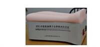 背部仿真針刺練習平臺 現代醫學教育的創新科教設備