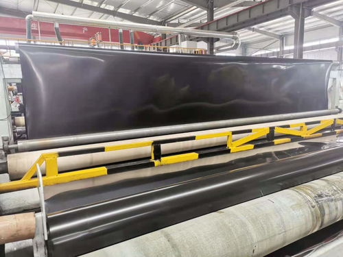 郴州防滲土工膜在曬鹽廠應用及其生產基地與土工格柵的協同作用